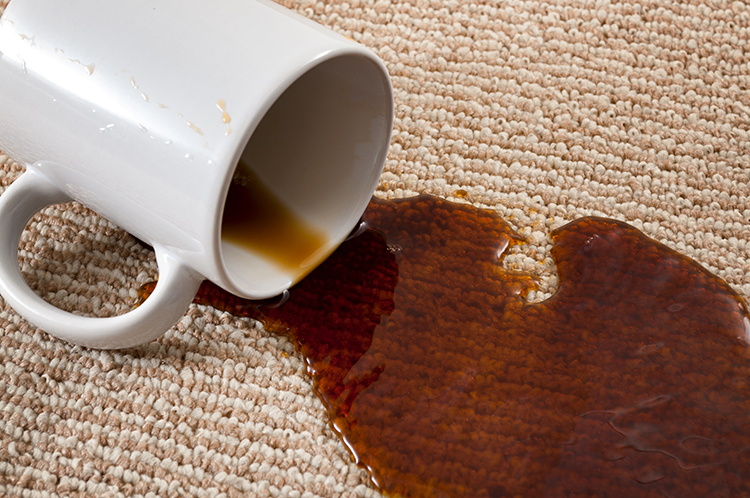 Home mishap, stained carpet, and domestic accident concept with